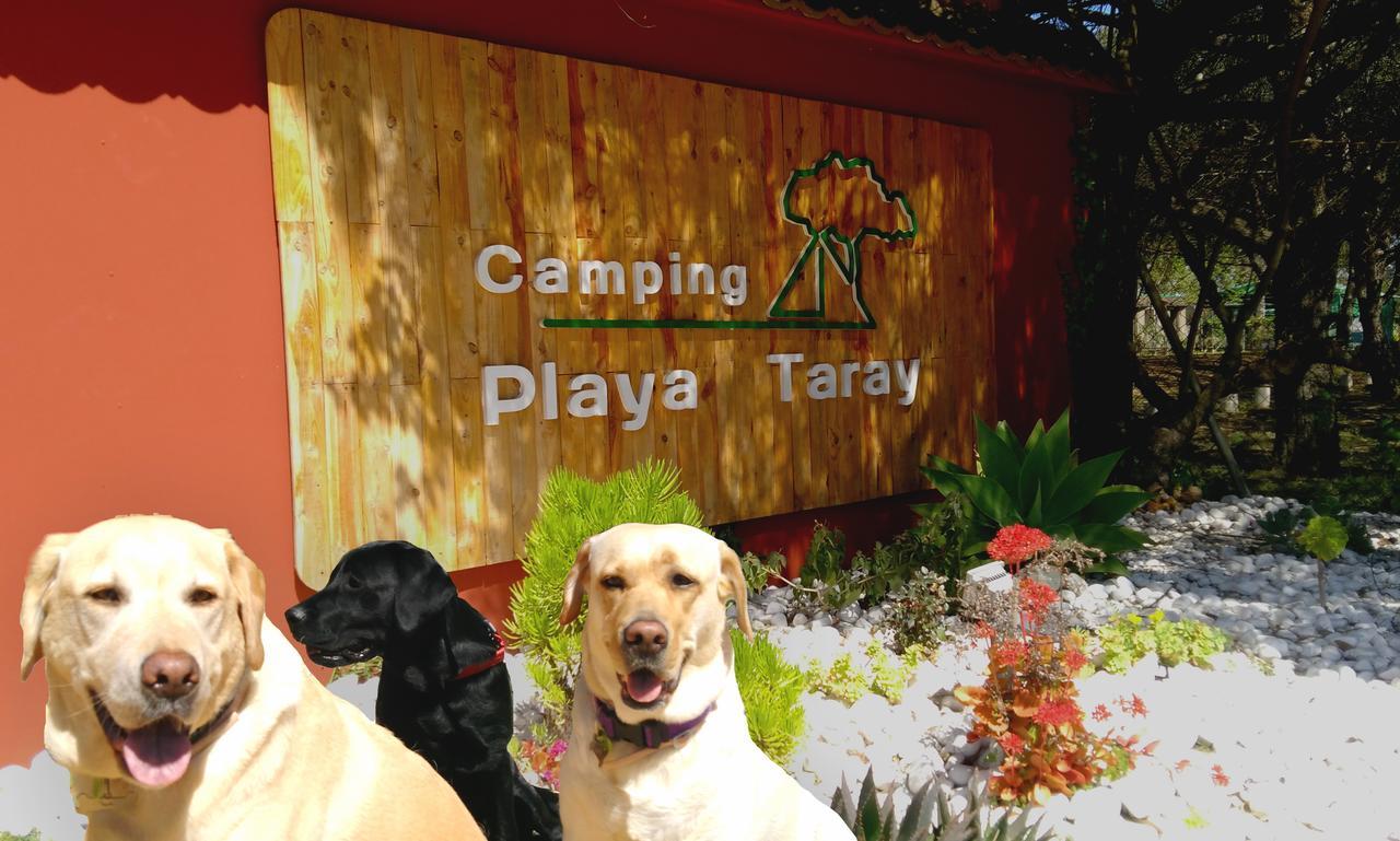 Playa Taray Camping